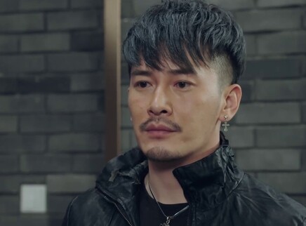 法网追凶 14集