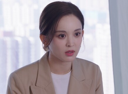 无与伦比的美丽 25集
