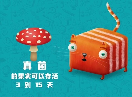问号猫 第二季 19集