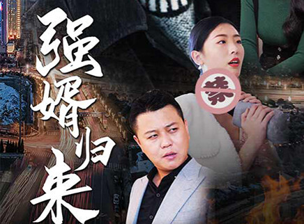 强婿归来 1集