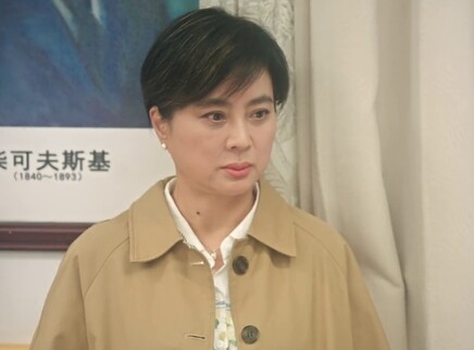 大妈的世界 贺岁篇 5集
