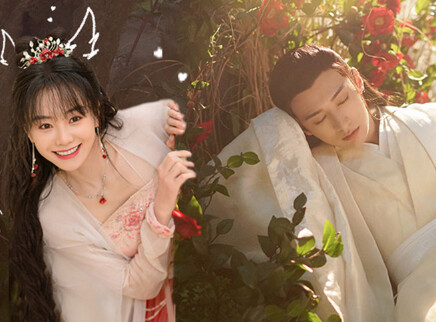 落花时节又逢君 9集