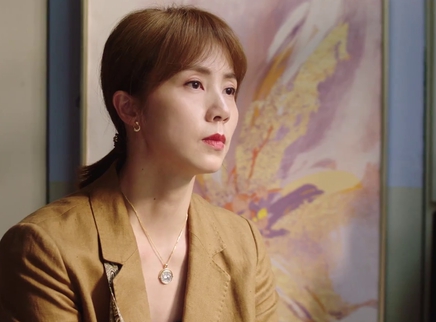 妻子的选择 速享版 13集