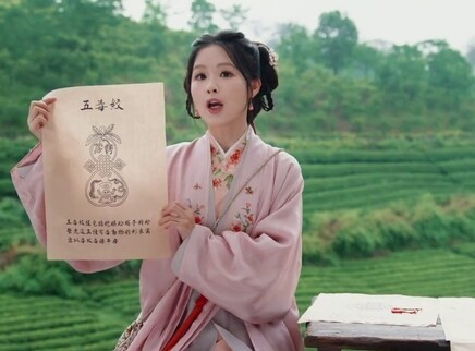 玉茗茶骨之玉茗科普小课堂 13集